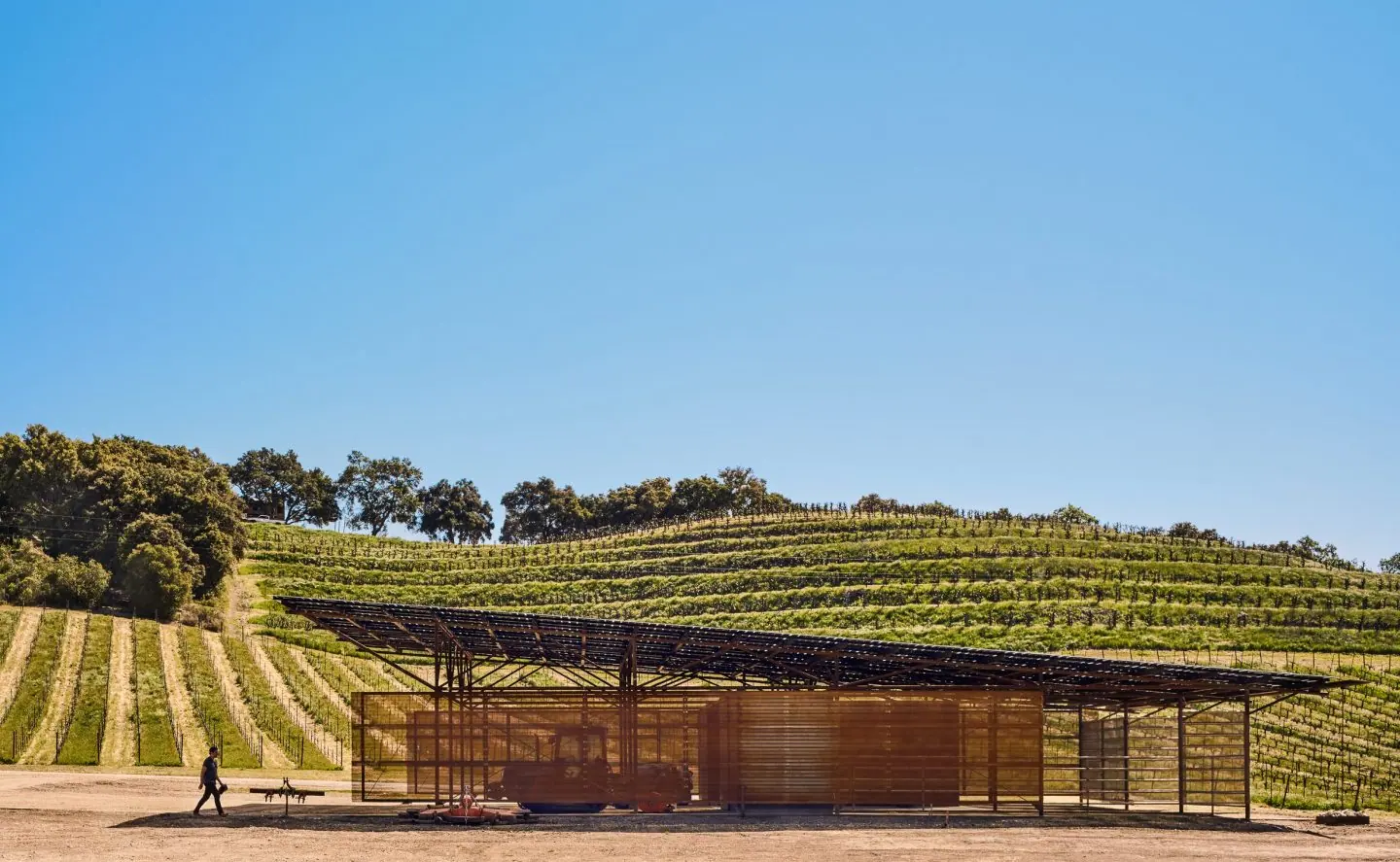 AIA California